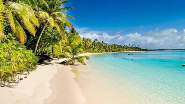 Een strand met helder turquoise water, palmbomen en een zandstrand.
