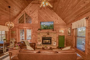 Smart TV, fireplace, books