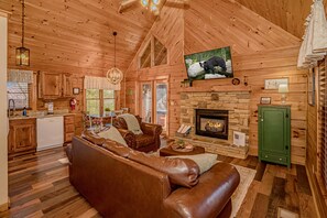 Smart TV, fireplace, books