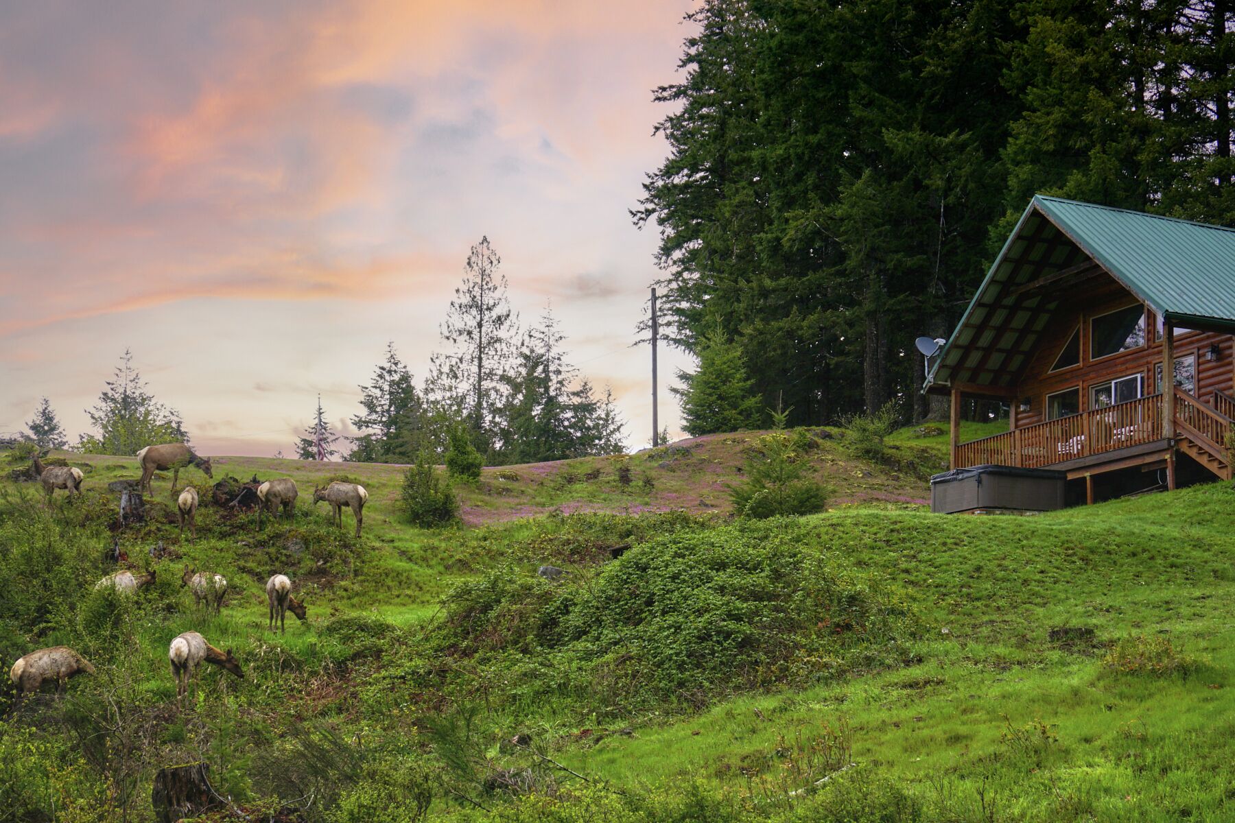 Une cabane dotée d’une terrasse et d’une antenne parabolique, entourée d’un paysage verdoyant, avec des arbres et un troupeau d’élans qui broutent.
