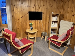 Fernseher, Stereoanlage