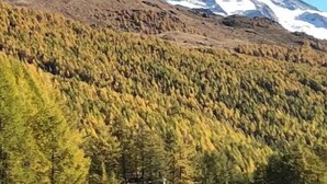 A mountain landscape with a prominent peak, dense forest, and snow-capped mountains in the background. - In the village of Evolène friendly sunny studio (Evolène)