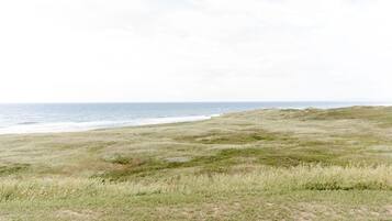 On the beach, sun-loungers, beach towels