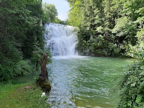 A waterfall in a lush, green forest setting.