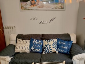 Fernseher, Bücher