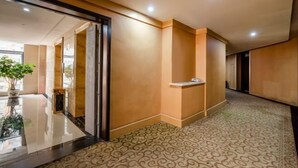 Un pasillo con alfombra estampada, una planta en maceta y una puerta de vidrio que da a otra habitación.