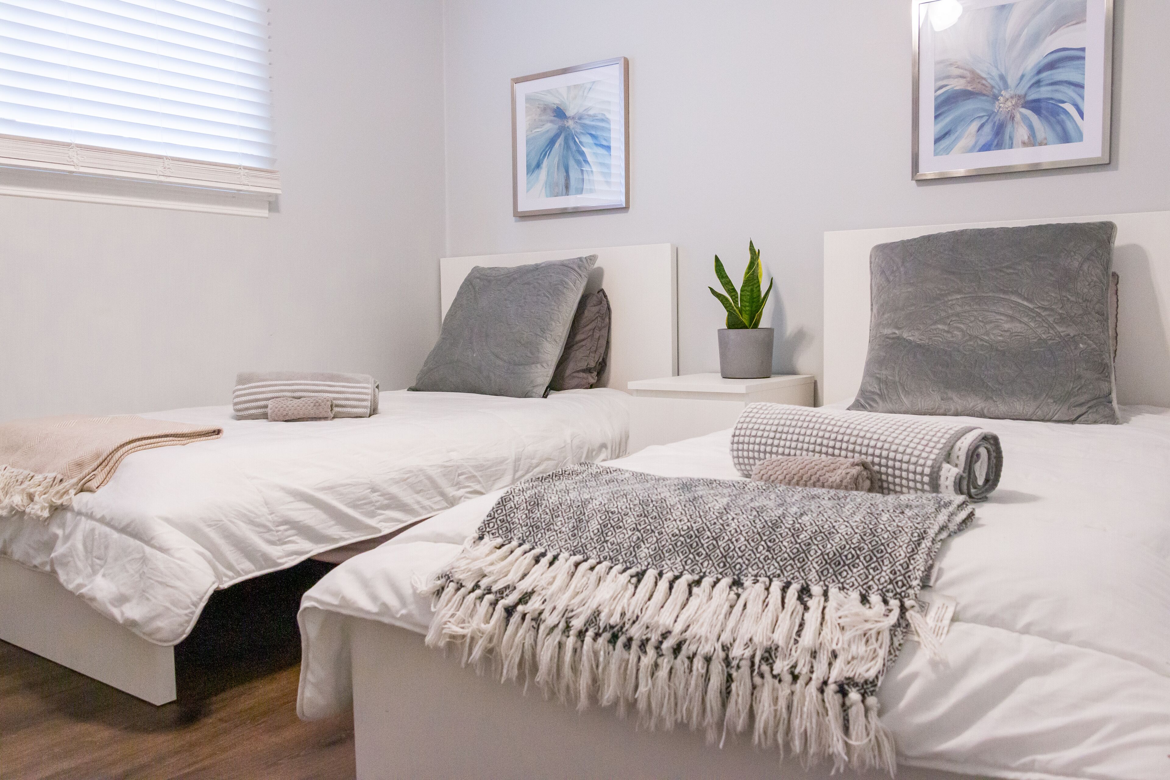 5 habitaciones, escritorio, tabla de planchar con plancha y wifi gratis 