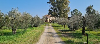 Agriturismo Buonavista - Parco della Maremma