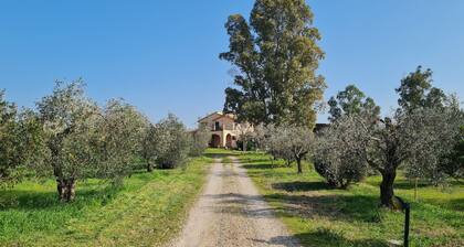 Agriturismo Buonavista - Parco della Maremma