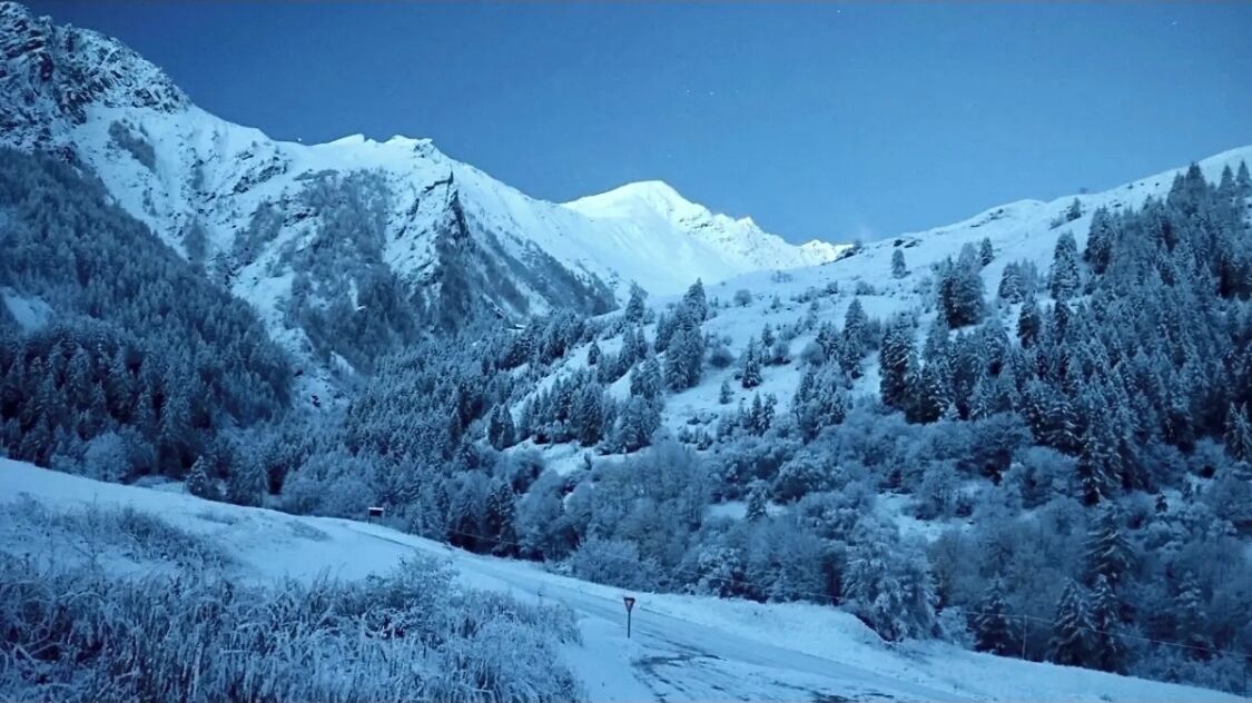 Een berglandschap bedekt met sneeuw, met dichte bossen en een heldere lucht.