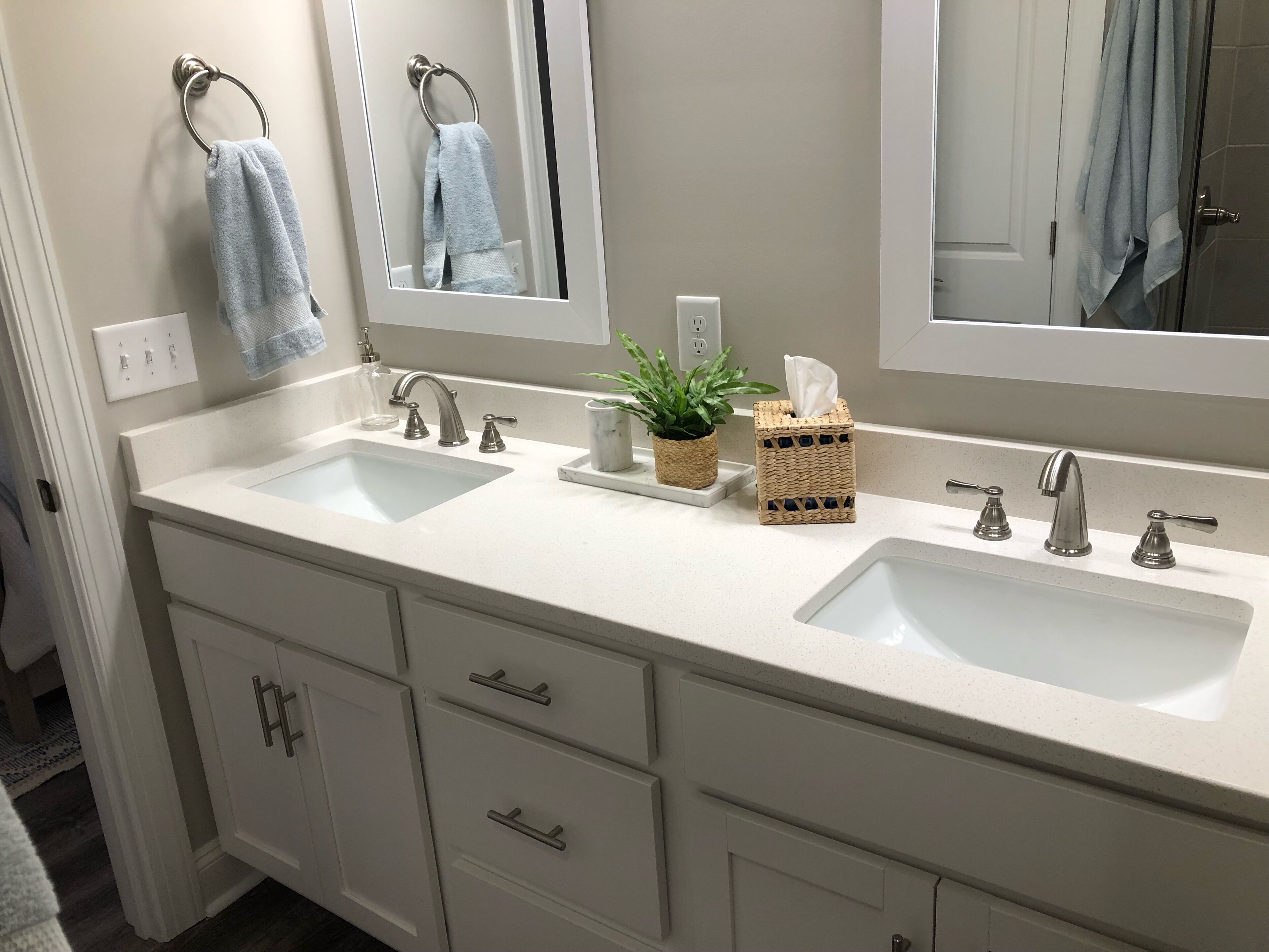 Une salle de bain avec deux lavabos, un miroir et une plante en pot.