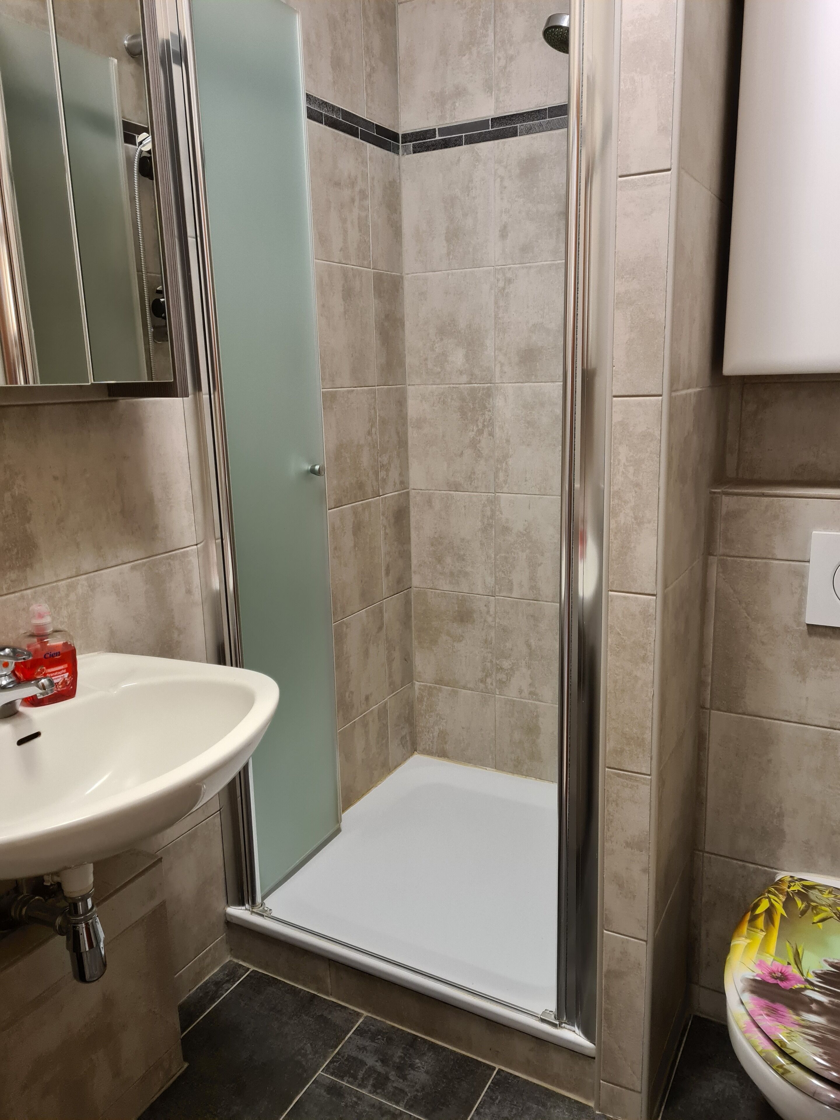 Shower, hair dryer, soap, toilet paper