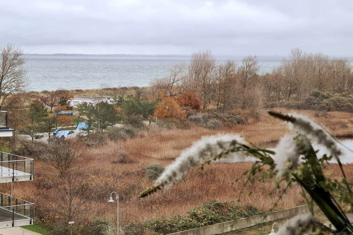 A view of a coastal area with a body of water, trees, and a building with a balcony.