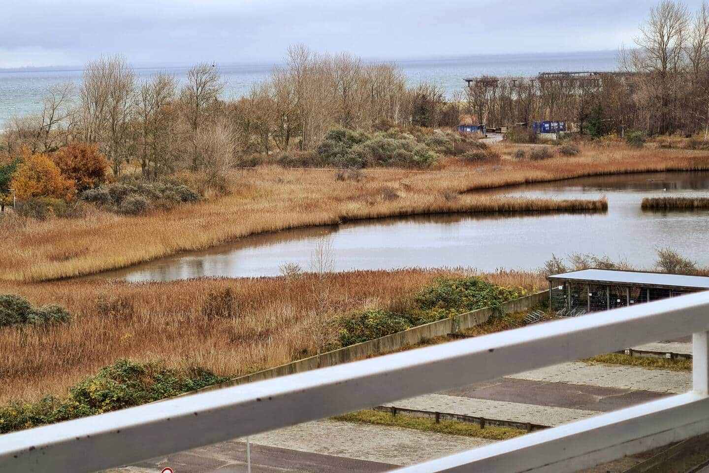 Udsigt over en flod med omkringliggende vegetation og en bygning i det fjerne.