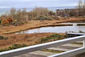 Une vue sur une rivière, avec la végétation environnante et un bâtiment situé au loin.