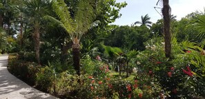 Property grounds - PGA Mexico Open/Kingdom of the Sun. Vidanta Grand Luxxe. Luxurious 1BR, 1.5Bath. (Nuevo Vallarta)
