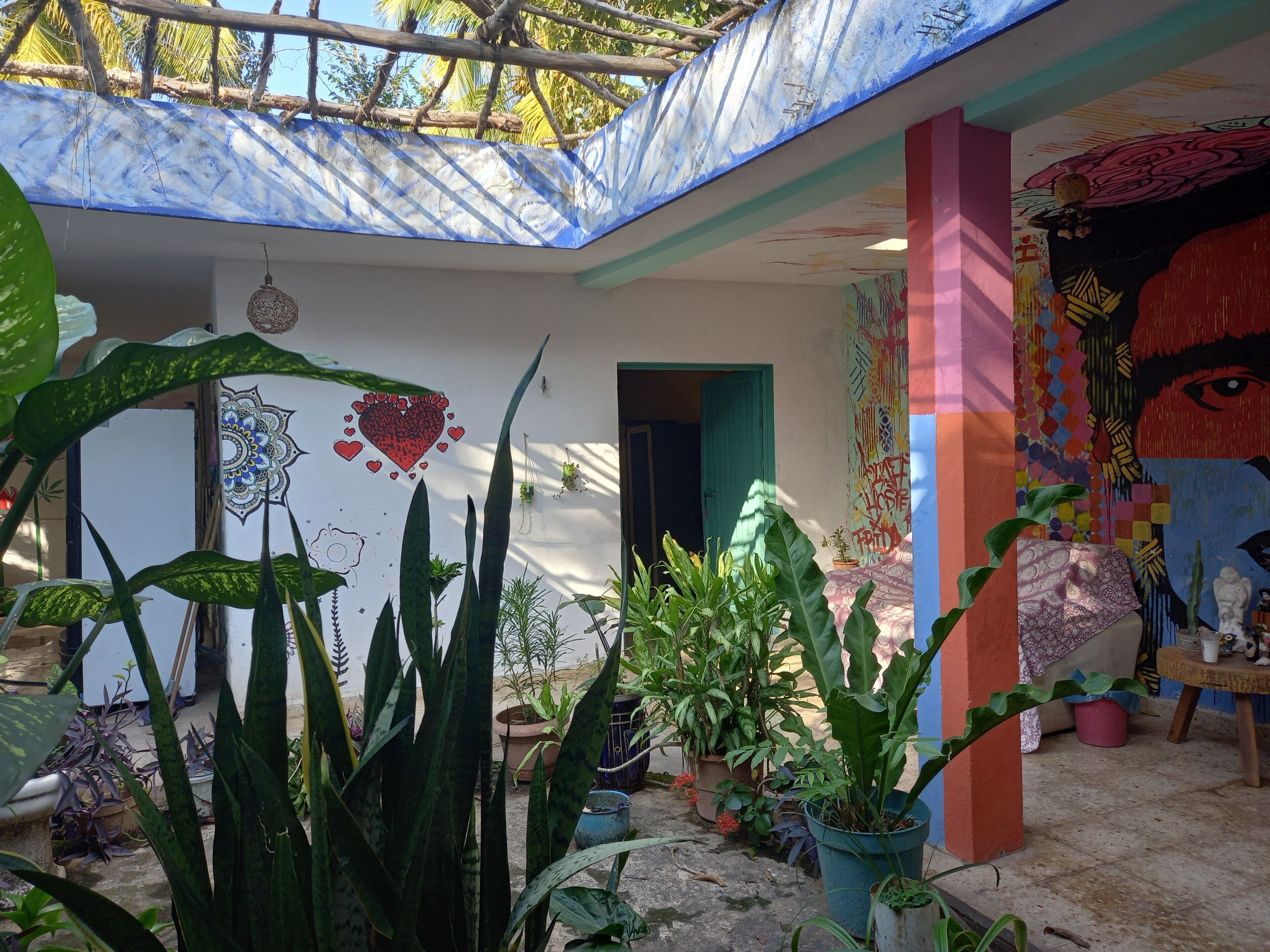 Habitación económica | Terraza o patio