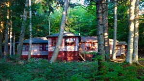 Una hilera de cabañas en un bosque, rodeadas de árboles.