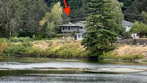 Un río con casas a la otra orilla, un árbol grande en primer plano y una flecha roja apuntando a algo fuera de la toma.