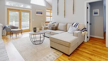 TV, DVD player, video library