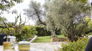 Un jardín con diversas plantas y un sendero de piedra.