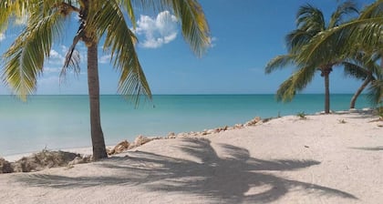 Villa Holbox The Island Holbox