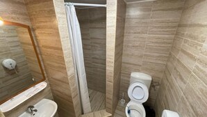 A bathroom with a shower, toilet, sink, and a mirror. - Delta crisan flamingo (Crisan)