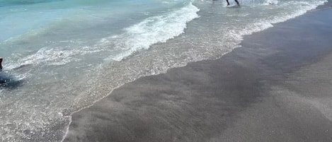 Chaises longues, serviettes de plage