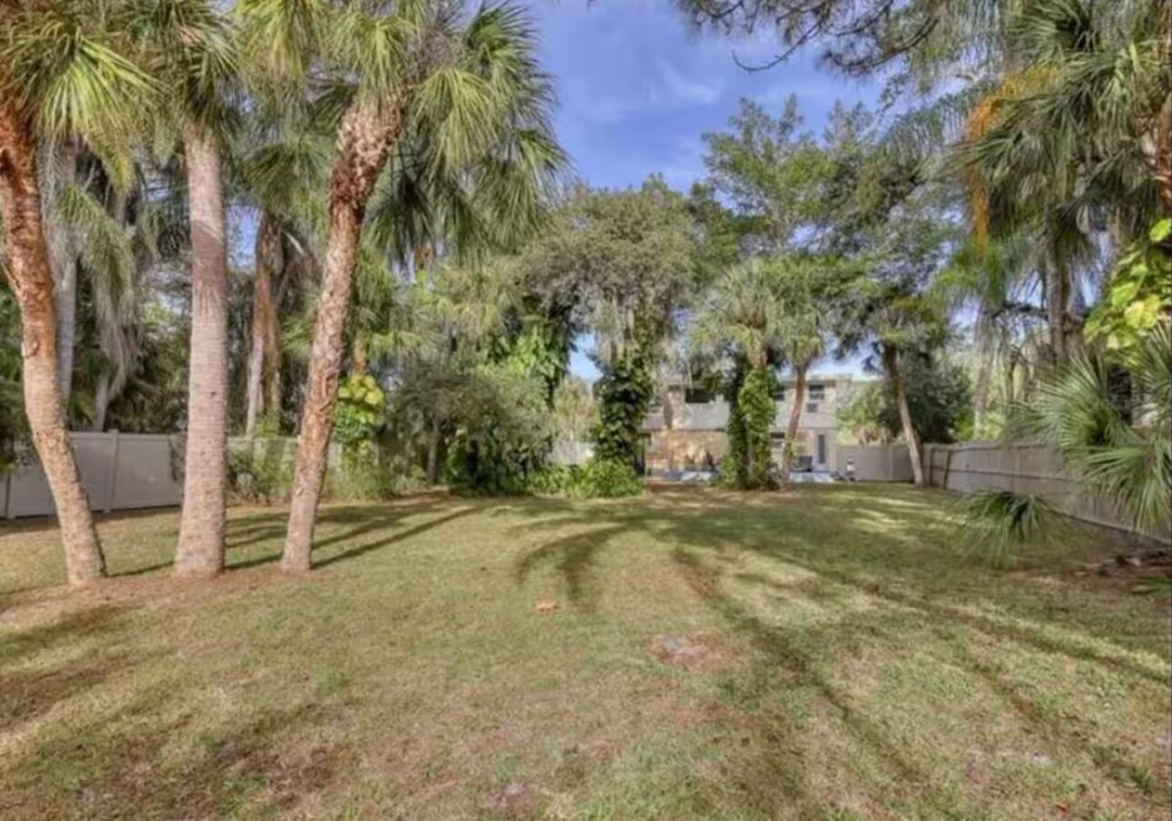 A grassy yard with palm trees and a stone wall.
