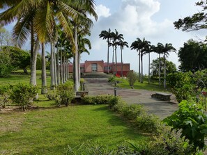 Property grounds - Les 3L, Bungalow Alamanda, Le Moule Guadeloupe (Le Moule)