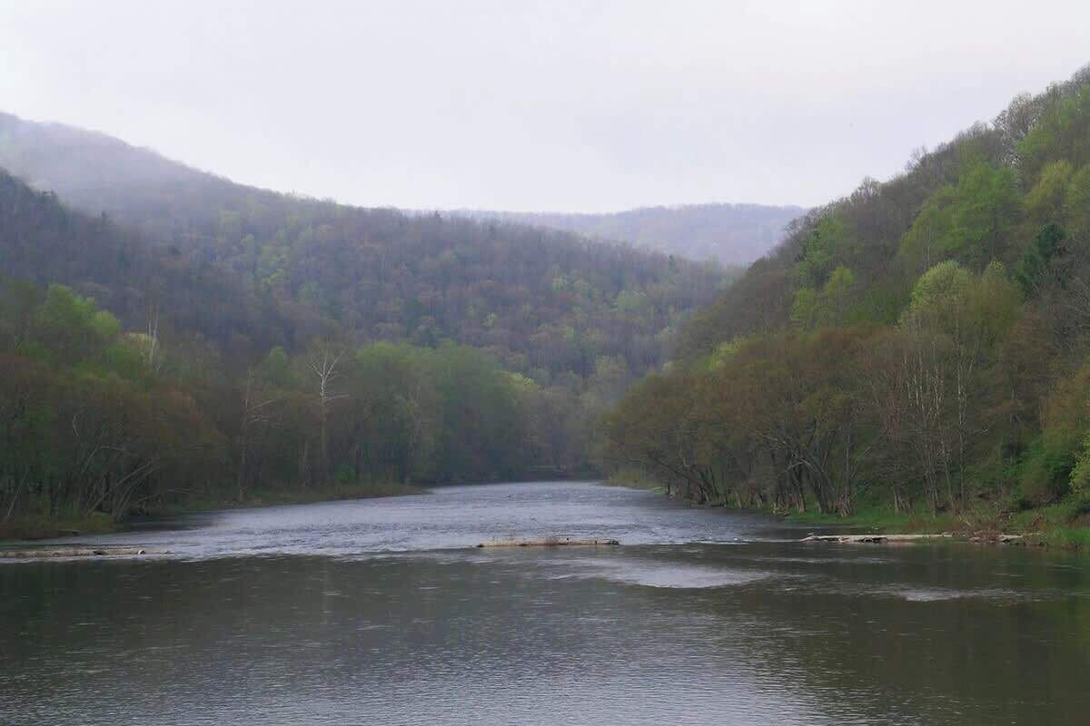 A river flowing through a valley with dense forest on both sides.
