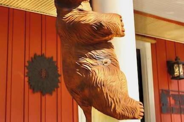 The Bear is happy to share his comfortable “den” with you.