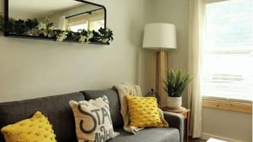 Smart TV, DVD player, video library