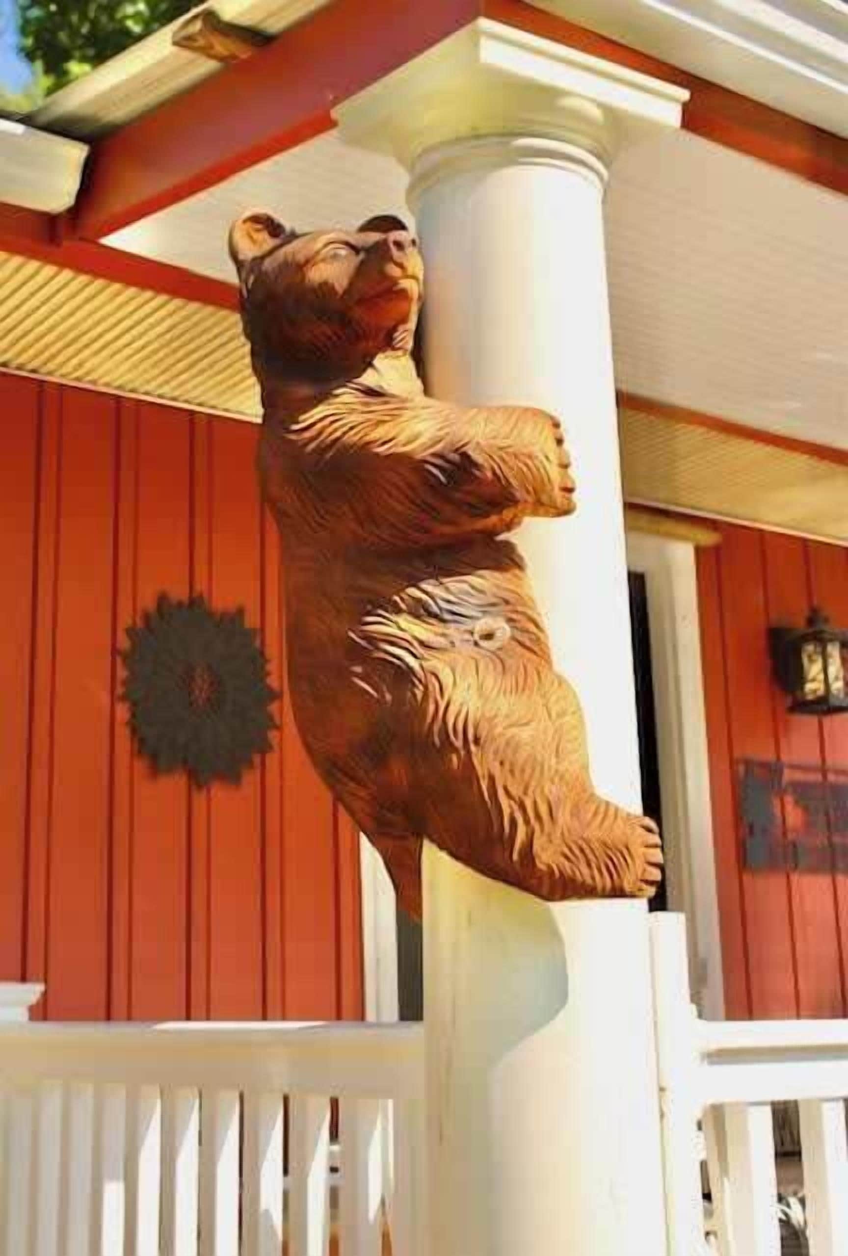 The Bear is happy to share his comfortable “den” with you.