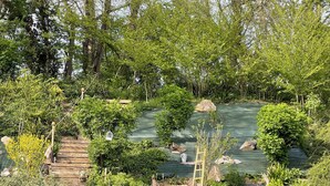 A lush garden with various plants and trees, wooden pathways, and a green tarp-covered area. - COTE D'ALBÂTRE BEACH 5 MINUTES AWAY (Criel-sur-Mer)