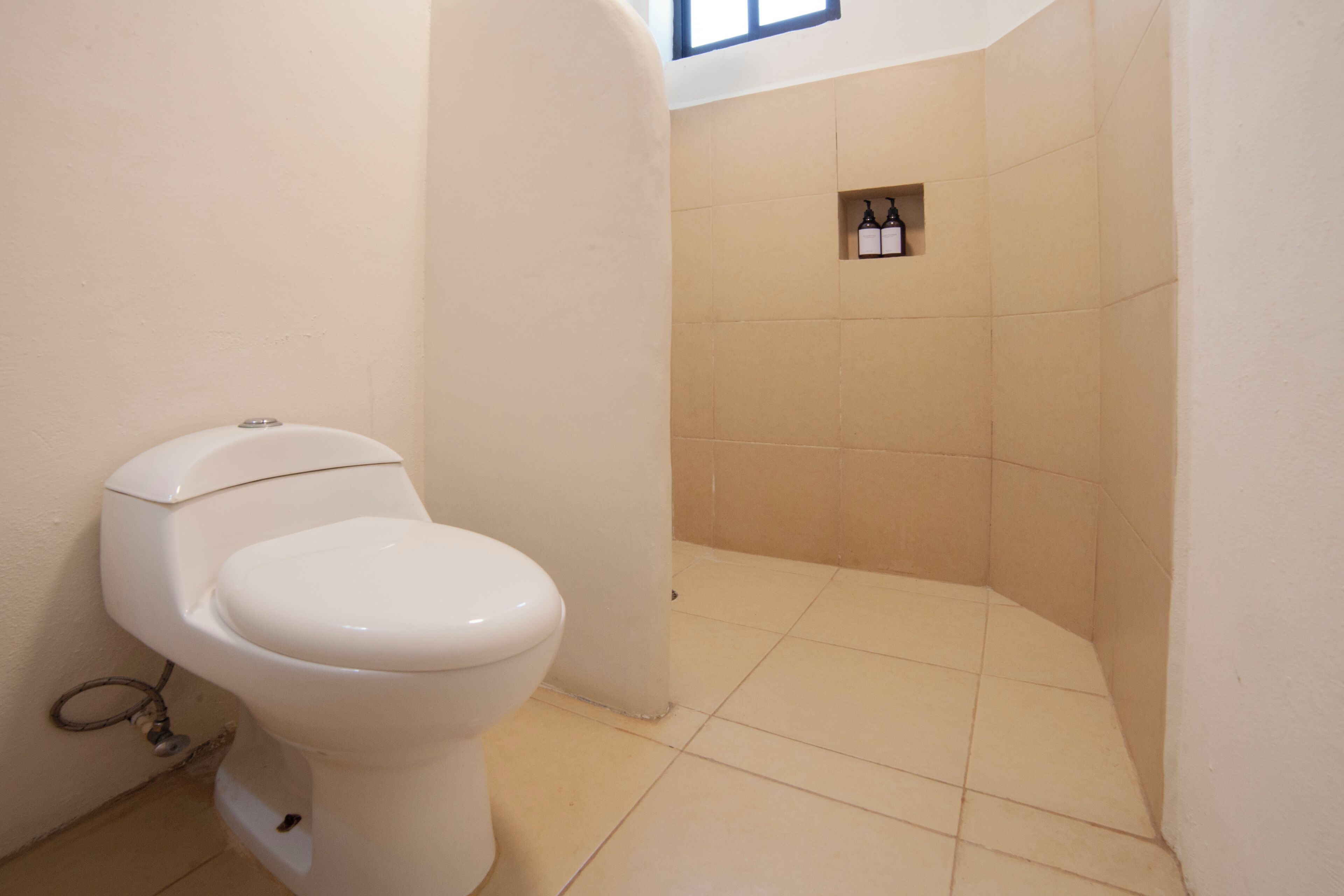 A bathroom with a toilet, a corner shower, and a shelf with bottles.