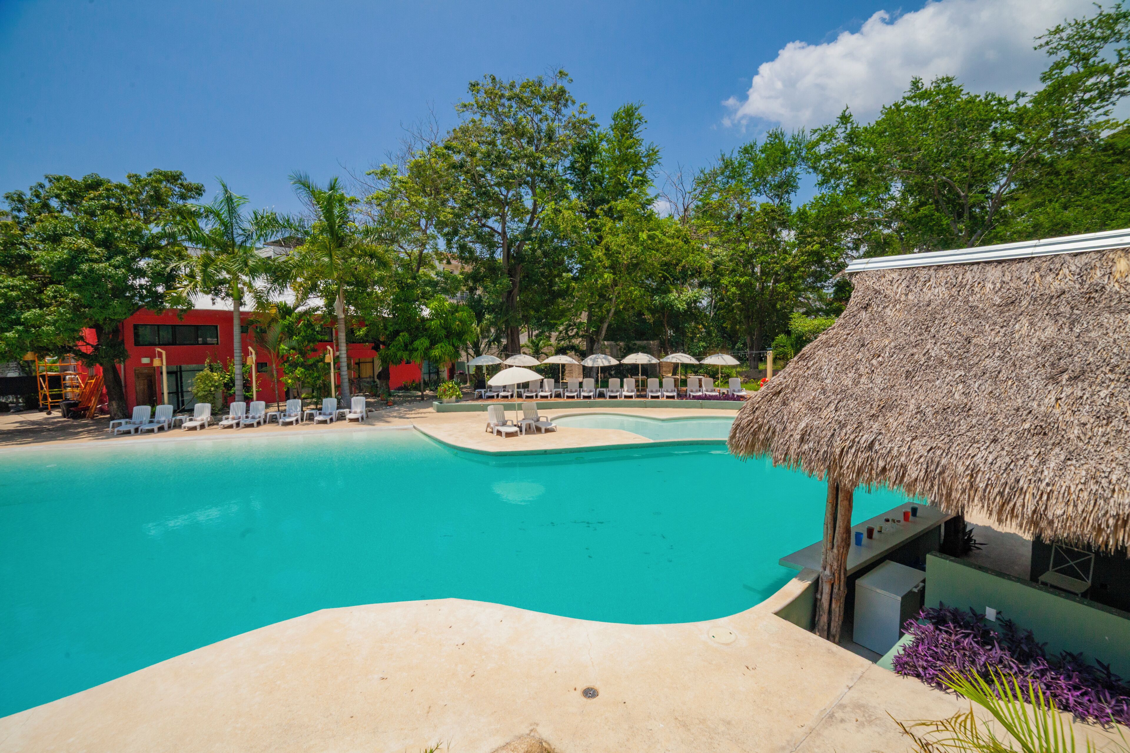 A swimming pool with lounge chairs and umbrellas, surrounded by trees and a building with a thatched roof.