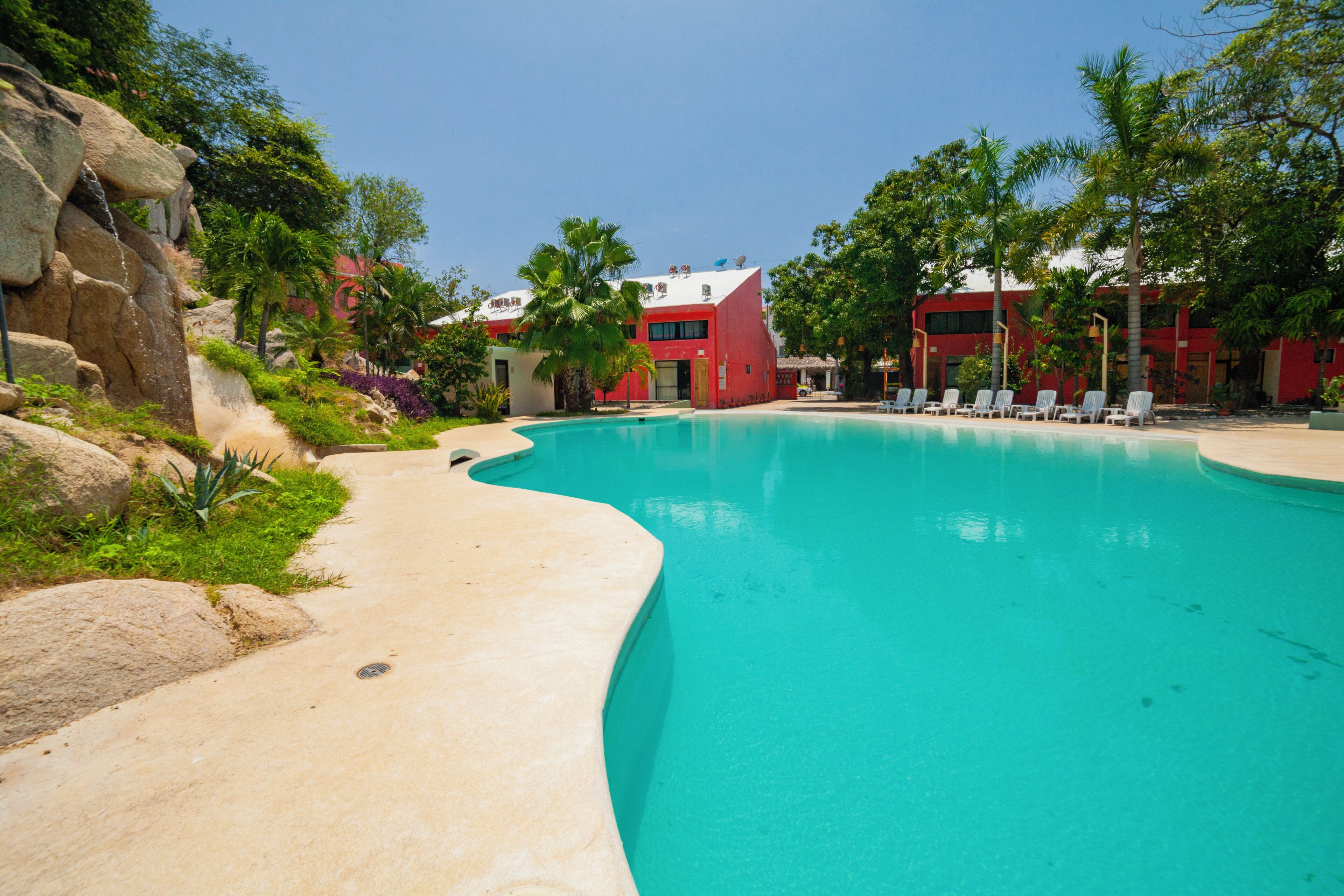A swimming pool with a curved edge, surrounded by lounge chairs and palm trees.