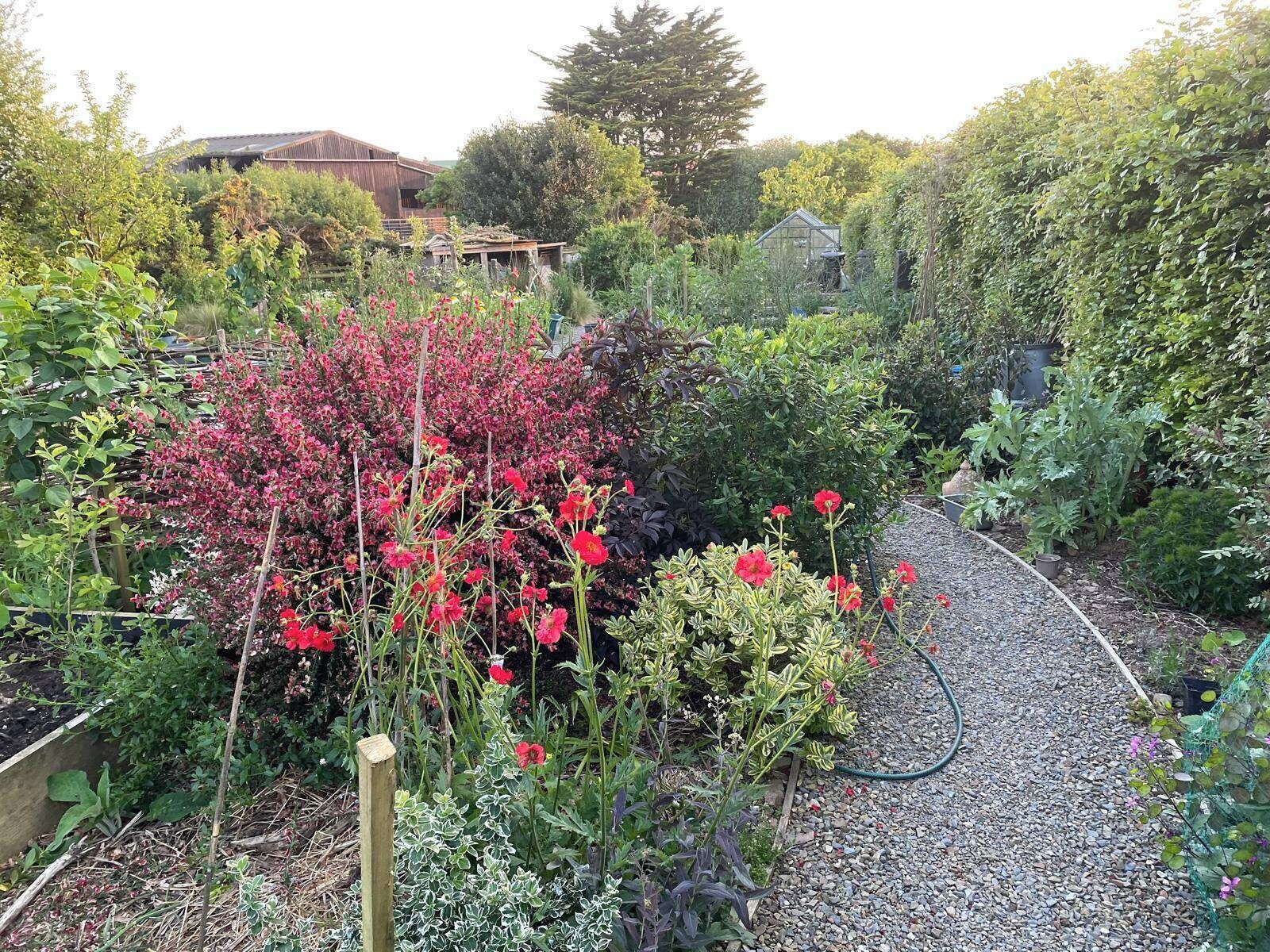 Terrein van de accommodatie