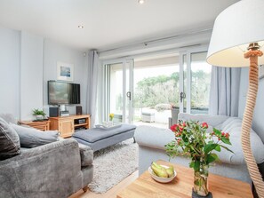 Fernseher