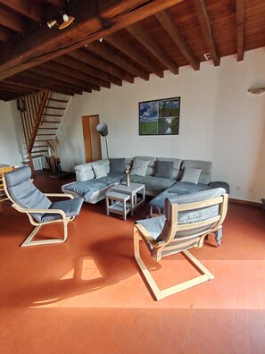 TV connectée, cheminée, livres