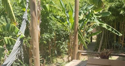 Spacious and comfortable beach cabin. surrounded by vegetation