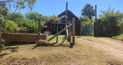 Spacious and comfortable beach cabin. surrounded by vegetation
