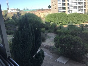 المنطقة المحيطة بالمنشأة