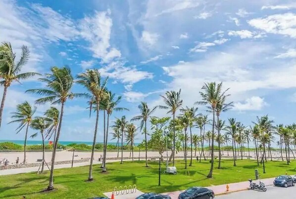 Enjoy a serene beachfront setting with palm trees providing shade and a paved walkway to the beach.