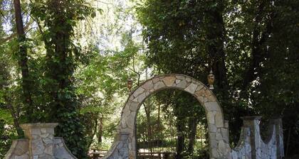 Fern Creek - Murphys Vacation Rentals