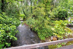 A serene garden with a stream, lush greenery, and a wooden bridge.