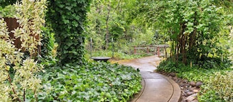 Fern Creek - Murphys Vacation Rentals