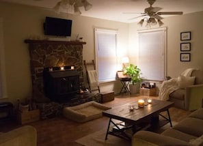 Smart TV, fireplace, DVD player, books