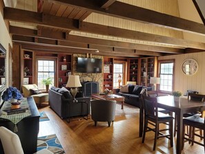 TV connectée, cheminée, jeux vidéo, lecteur de DVD